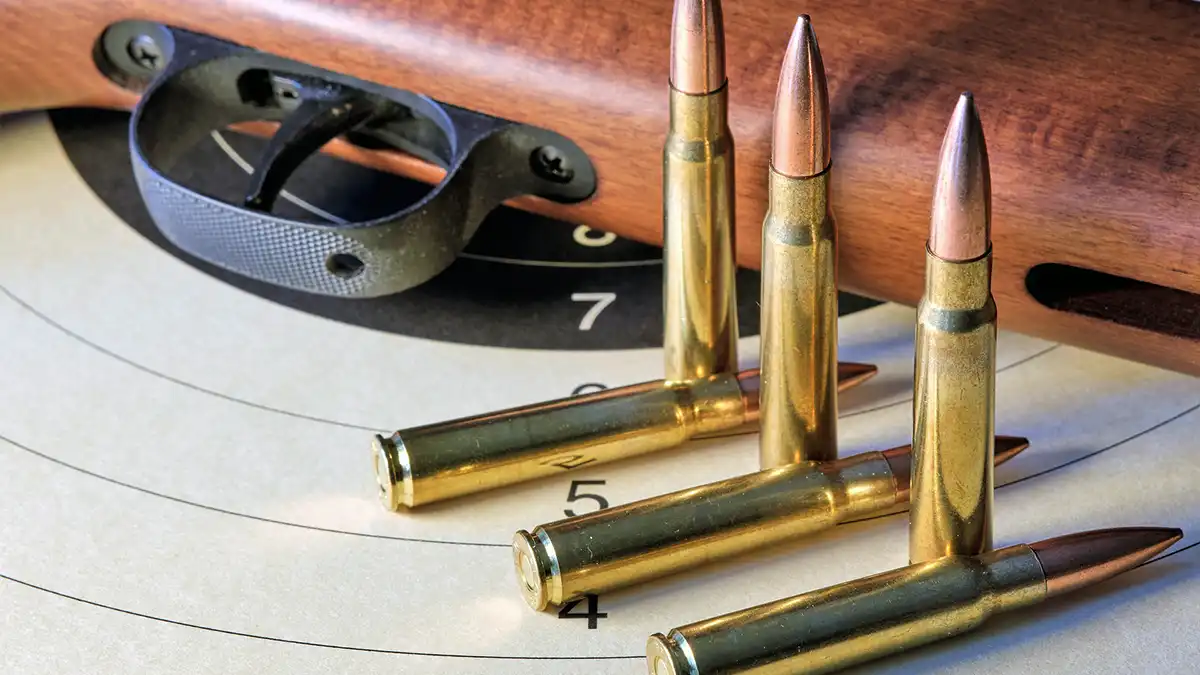 Guía de tipos de rifles para el examen de permiso de armas