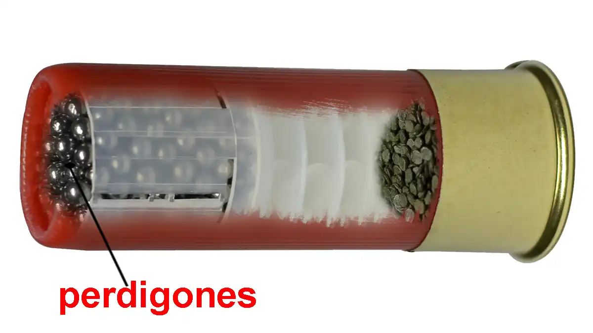 Los proyectiles del cartucho: perdigones y balas según el tipo de caza - Licencia de Armas