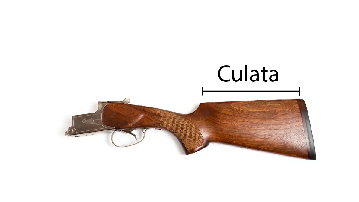 Culata de una escopeta
