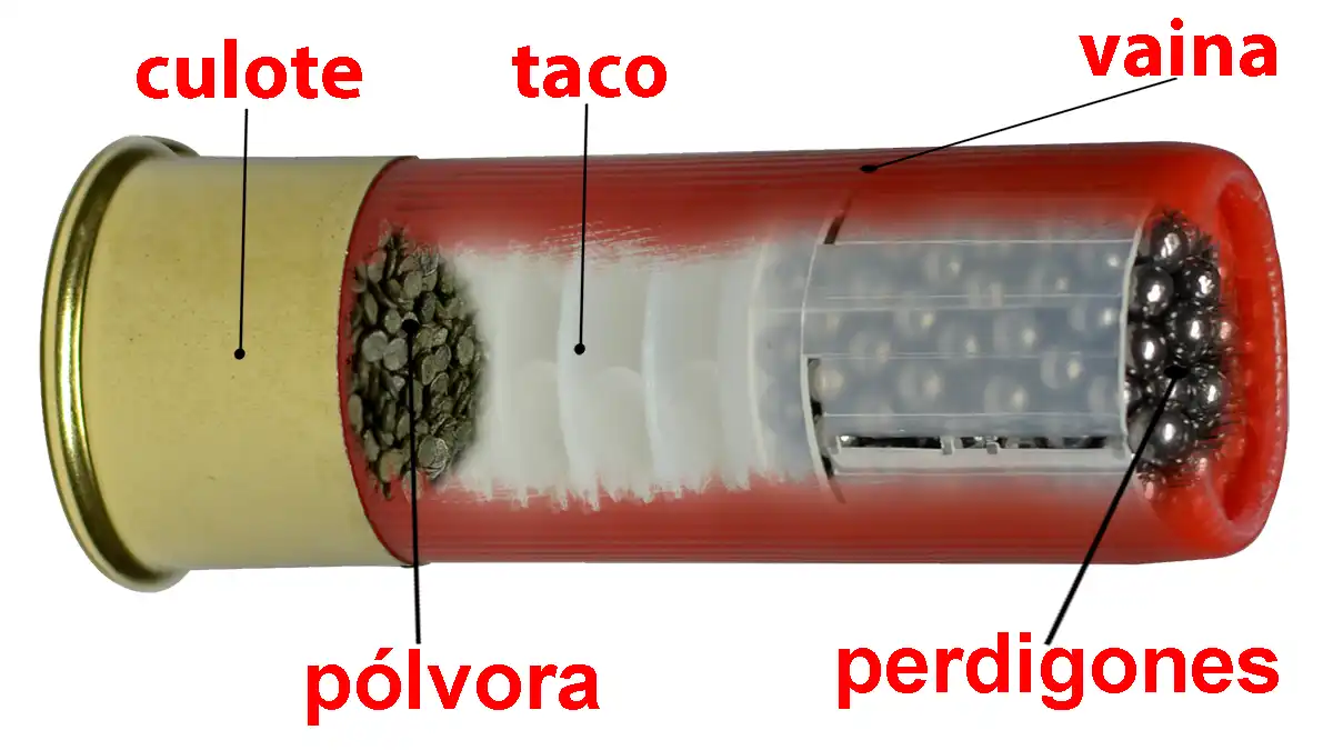 Anatomía y componentes principales de un cartucho de caza - Información esencial para el Permiso de Armas